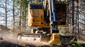 Image of an LX825 mulcher working in the field.