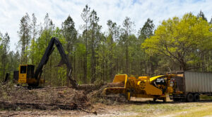 A Tigercat loader and a 6440 chipper working in the field