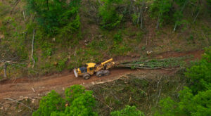 625H skidder working in the field