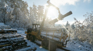 Image of a 1055D forwarder working in the field