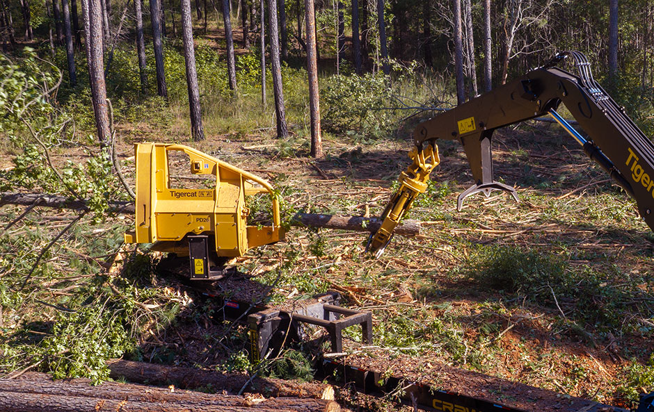 Tigercat PD26 delimber in pine stand