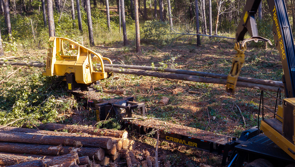 Tigercat PD26 performing pull-through delimbing